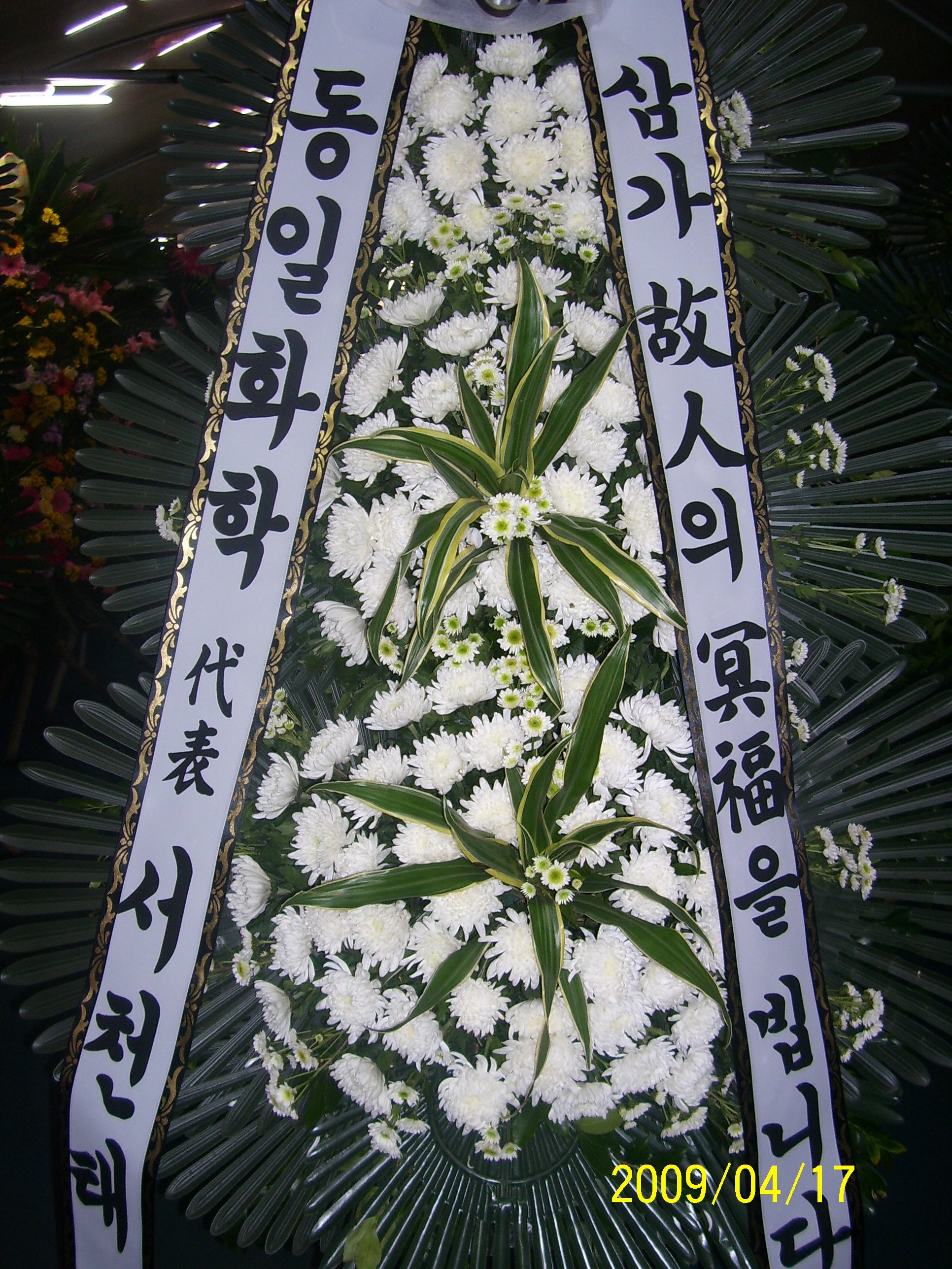 �������� �巹�������� ��۵� ����ȭȯ�Դϴ�