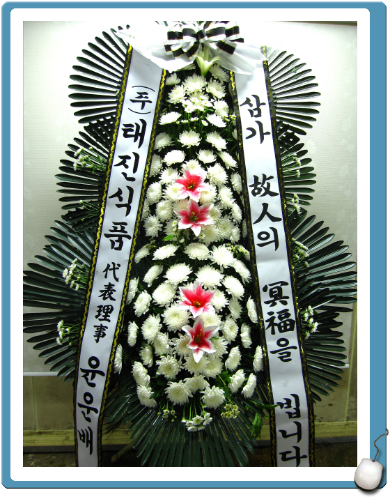 �������𺴿��巹����