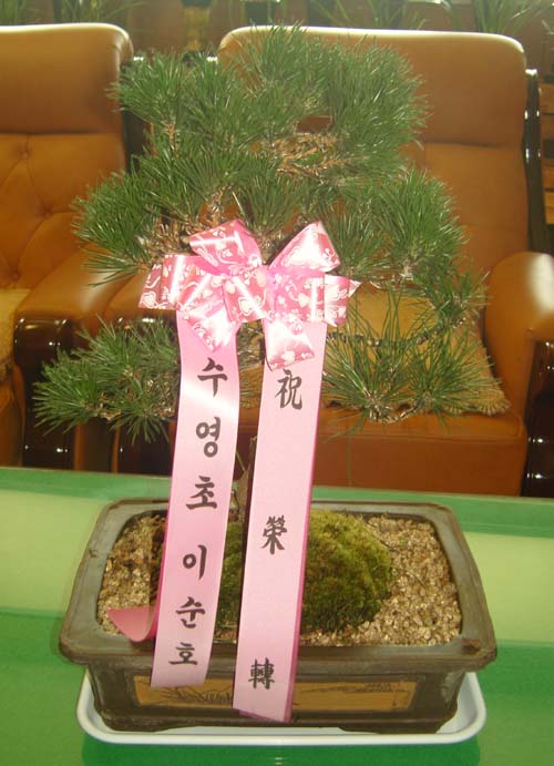 �ҳ�������