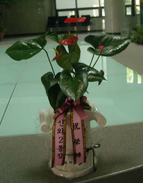 ��û�Ǽ���