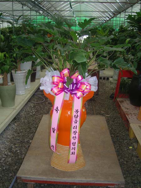 ��ȭ���� ���ҽ�