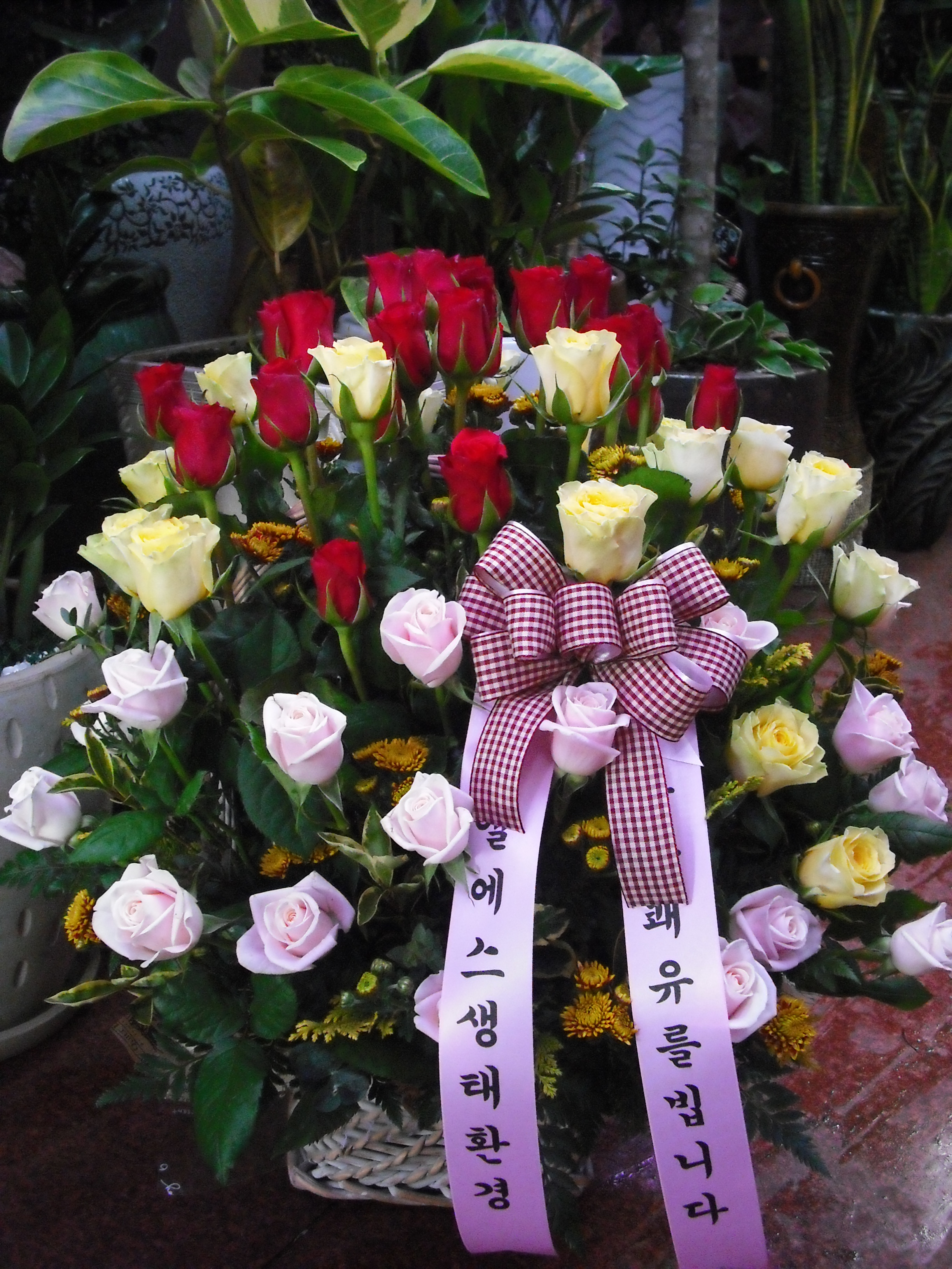 �������� �ֿ�APT ��۵� �ɹٱ����Դϴ�.