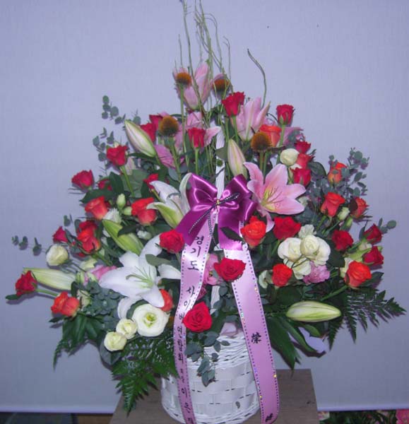 ��������û