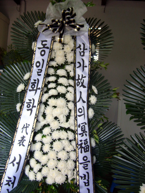 �����Ƿ�� ��ʽ��� ����3��ȭȯ