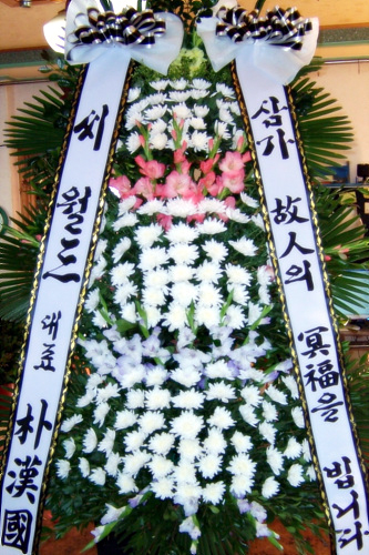 �����Ƿ�� ��ʽ���(����3��ȭȯ)