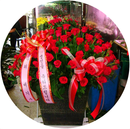 ������ ��ް�