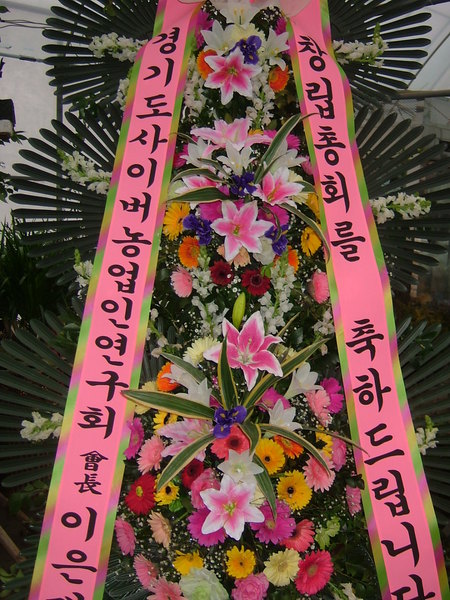 ���ֳ�������Ÿ