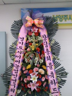 �����ֽó�������Ÿ