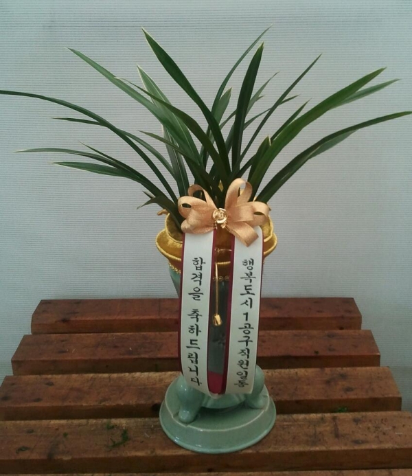 �հ����ϵ帳�ϴ�