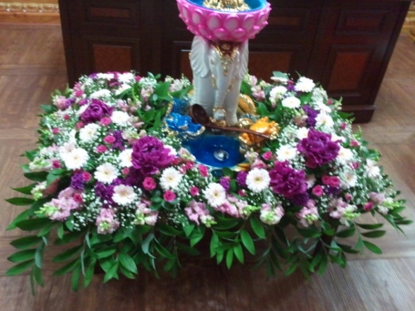 ��������