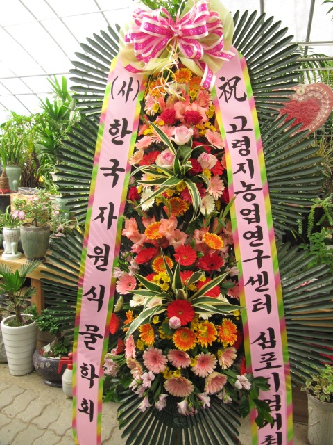 ��â�� ����ȭȯ ��۰�