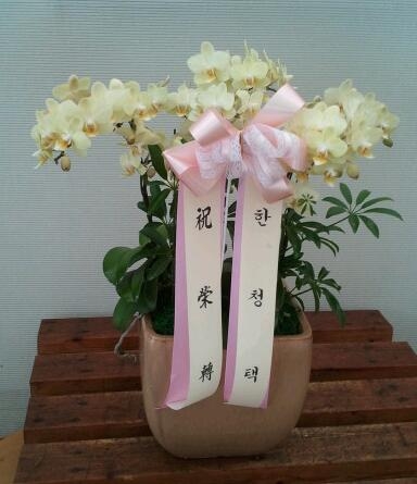 ��������Ÿ