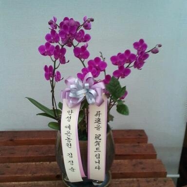 �����ڿ�����