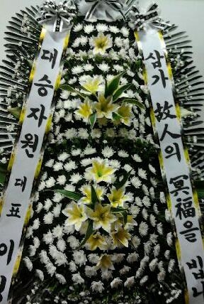 ������ʽ���