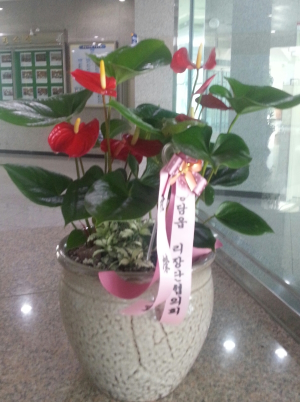 ��ȸ�繫��