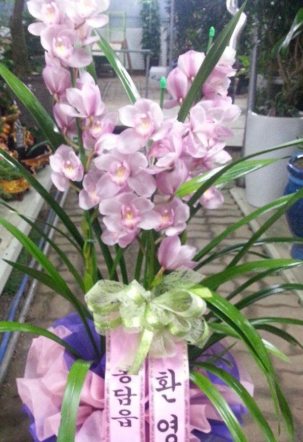 �Ϳ�����