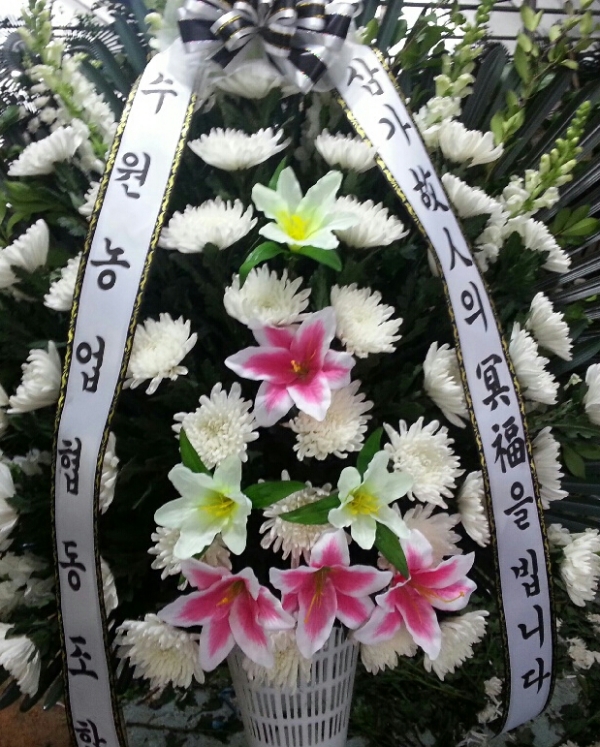 ¯���ٱ���