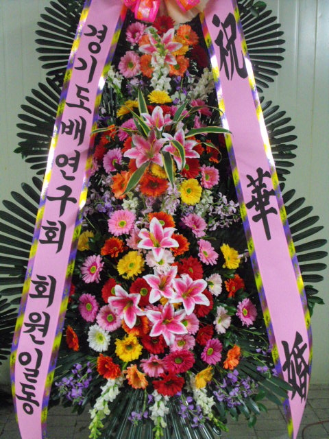 ����ȭȯ 3��