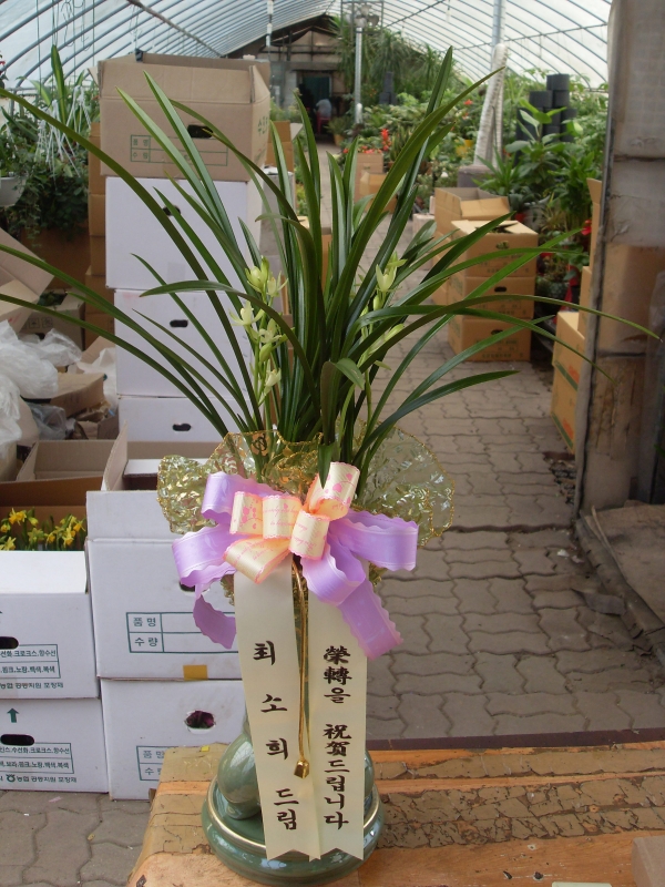 ���ؽ� ����� ��