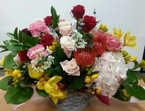 �д籸. ���ڵ�