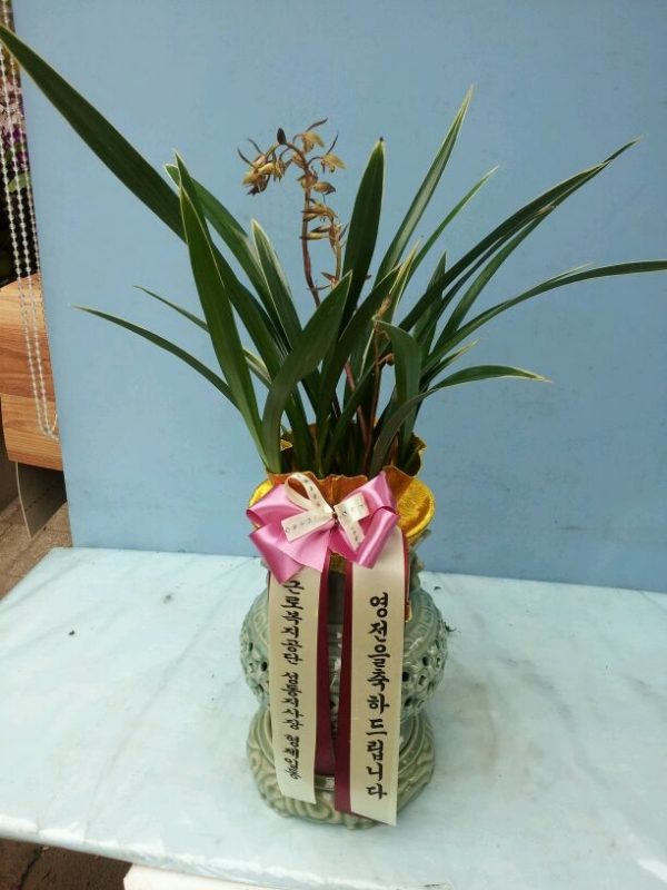 ���ֽſ뺸�����