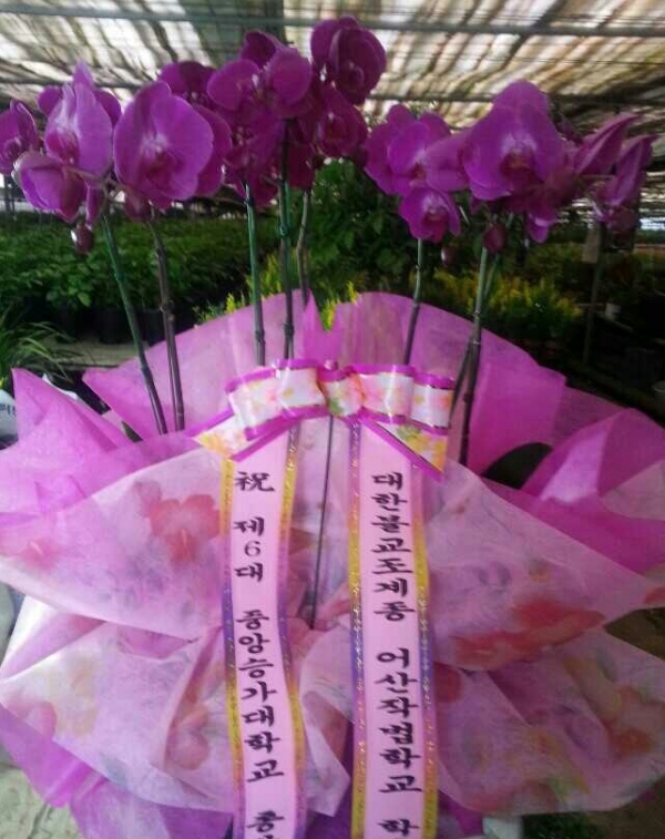 �°�����