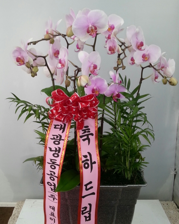 â�������