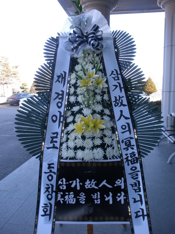 ��â��ʽ���