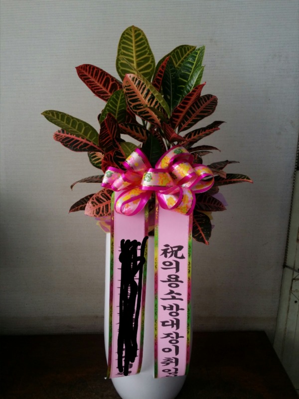 �����ӽ�