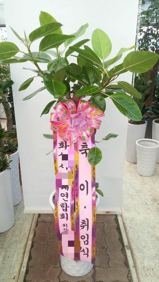 �����ӽ�