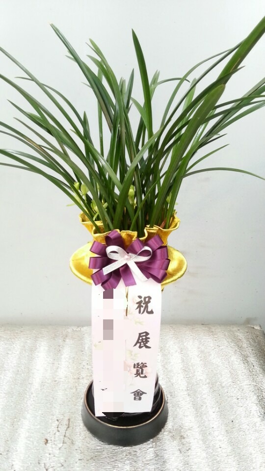 ������ȸ