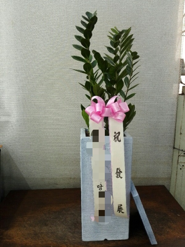 ȭ������������