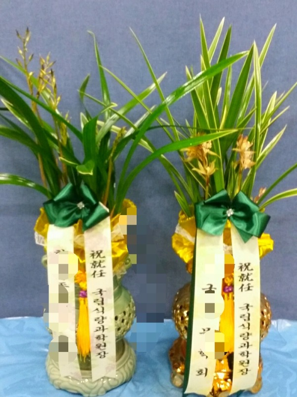 �ķ����п�