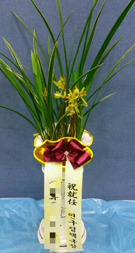 ��������û