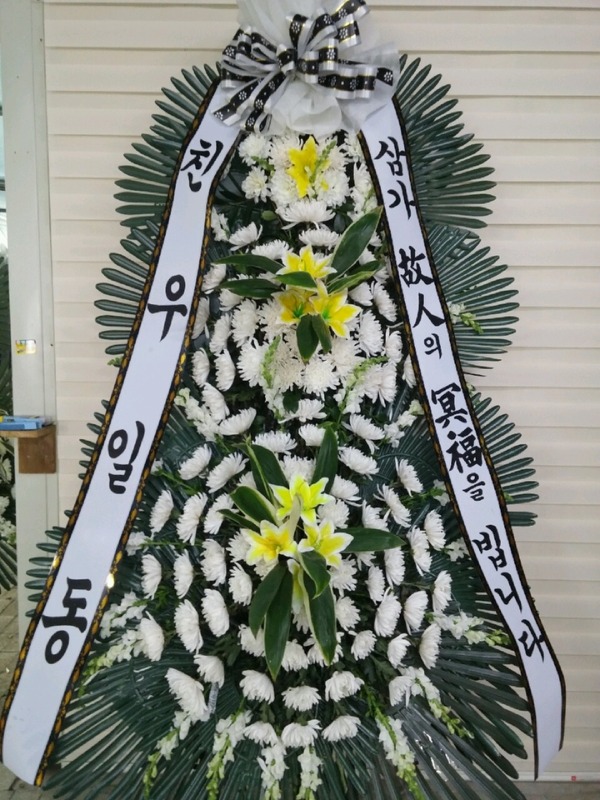 �������𺴿�