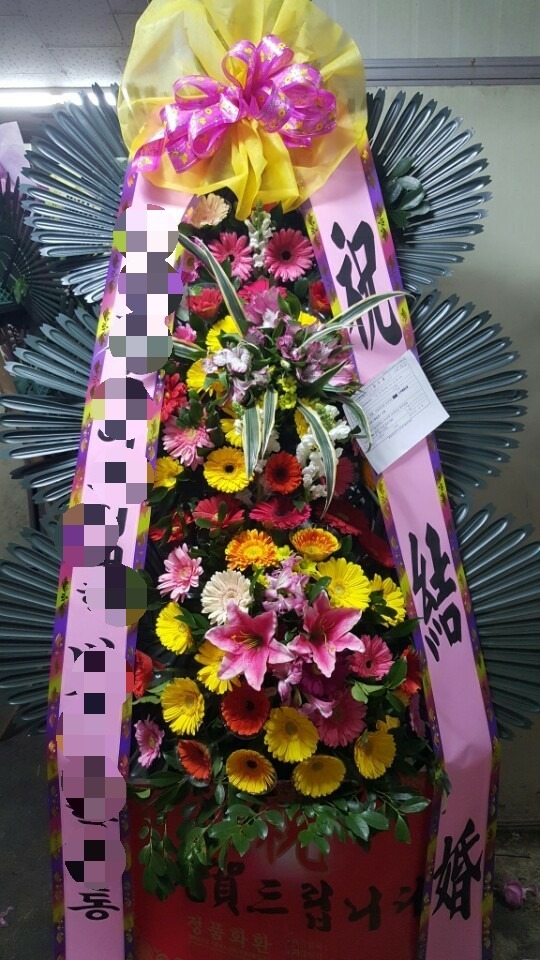 �뱸 �����