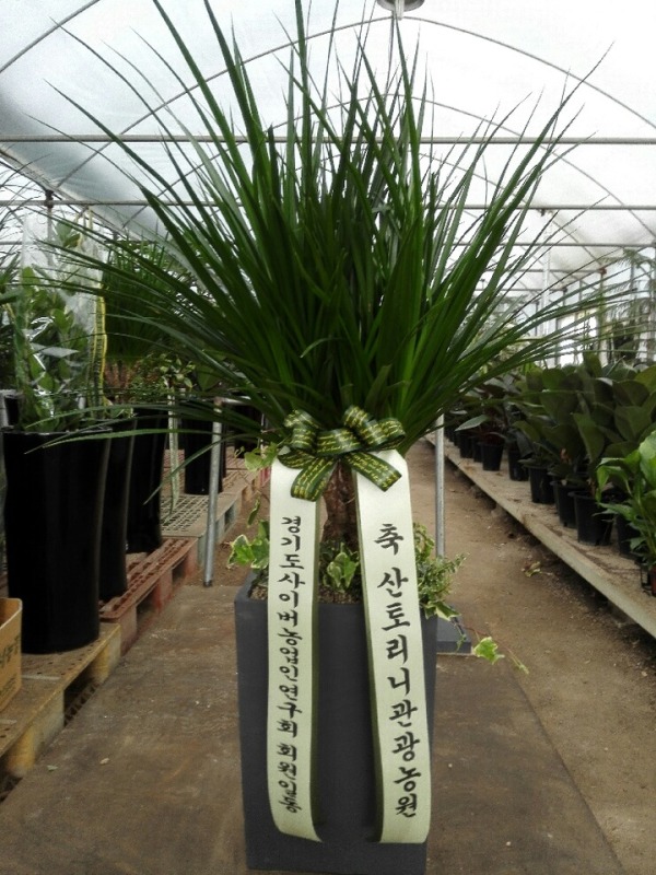 ���λ긶����