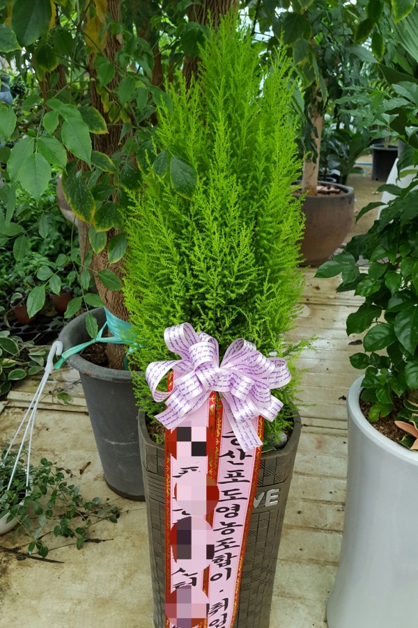 �������ӽ�