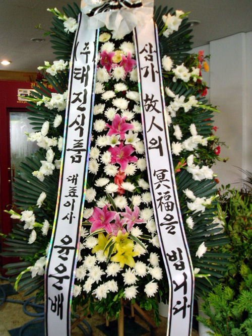 ���������Ƿ��(�μ���:Ź�����)