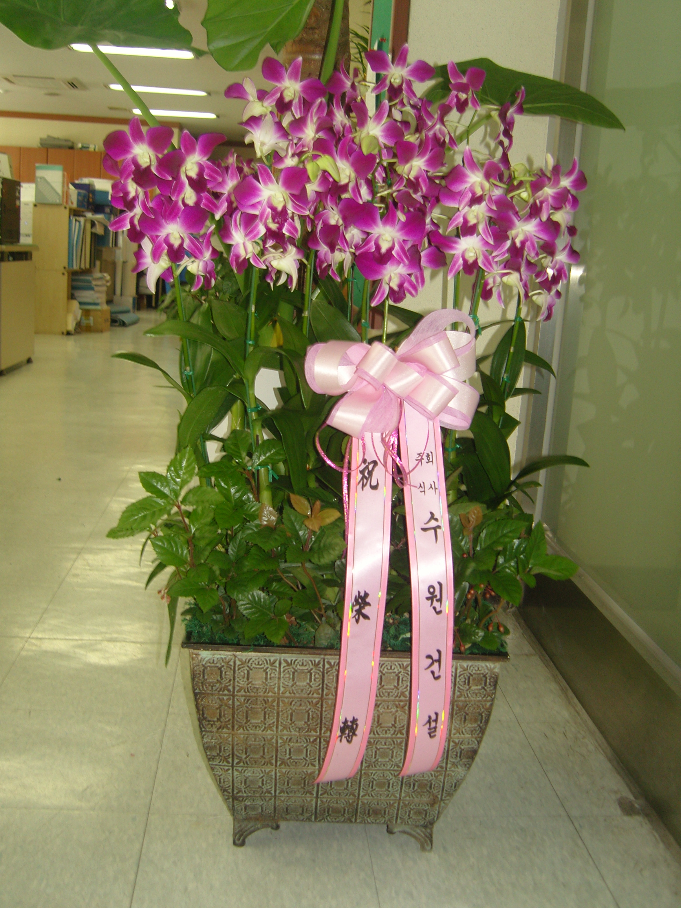 ���ϼ��������